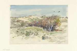Dunová krajina mezi Bloemendaal a IJmuiden