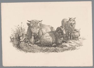Kráva, beran a dvě ovce Beesten Studien od J. Kobella podle Paula Pottera Nr. 1 (název série) od Jan Kobell (III)