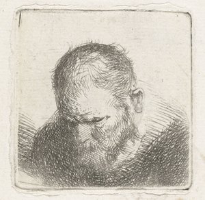 muž s plnovousem od Jan Lievens (possibly)