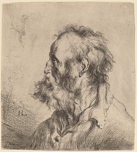 Busta vousatého starce od Jan Lievens