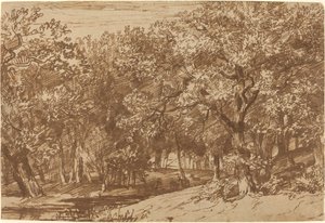Jelení obora od Jan Lievens