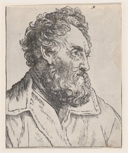 Hlava muže od Jan Lievens