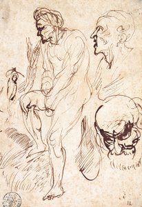 Studie podle modelu od Jan Lievens
