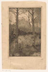 okraj lesa od Jan Mankes