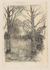 okraj lesa od Jan Mankes
