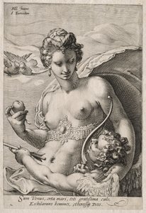 Venuše a Amor od Jan Saenredam