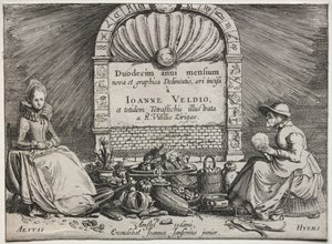 Dvanáct měsíců. od Jan Van de Velde