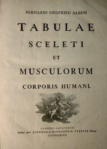 Albinus I, titulní strana, z knihy "Tabulae sceleti et musculorum corporis humani", kterou napsal Bernhard Siegfried Albinus (1697-1770), vydal J.undH. Verbeek, bibliop., Leiden, 1747 od Jan Wandelaar