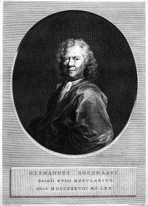 Herman Boerhaave, vyryl Jacobus Houbraken od Jan Wandelaar