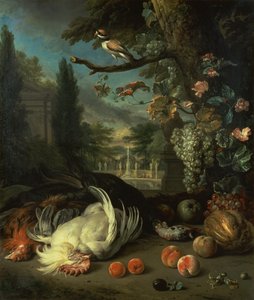 Mrtvá drůbež (olej na plátně) od Jan Baptist Weenix