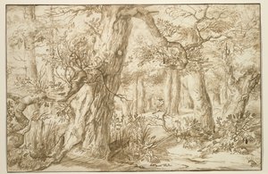 Forest Interior with Draftsman, c.1664 (hnědý inkoust na starožitném papíru)
