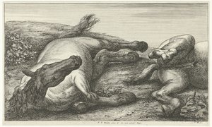 Dva padlí koně, levý při pohledu zepředu Mrtví koně (název série) od Jan van Huchtenburg