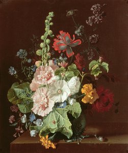 Topolovky a jiné květiny ve váze, 1702-20