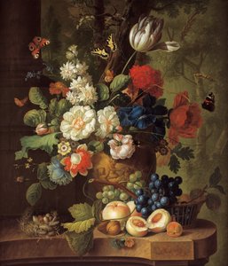 Květiny od Jan van Os