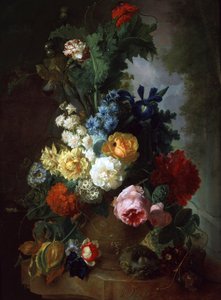 Zátiší s růžemi a delfiniemi. Obraz od Jana van Ose (1744-1808). Soukromá sbírka.