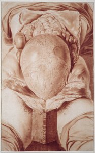 MS Hunter 658 Plate XXVI Kresba z knihy Williama Huntera (1718-83) 