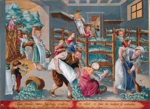 Ženy lemující police s listy moruše pro bource morušového, deska 5 od „Vermis Sericus“ (Hedvábník), vyrytý Philipem Gallem (1537-1612) (rytina) od Jan van der Straet