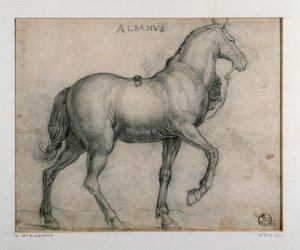 Studie pro koně Kresba Giovanni Stradano (Jan van der Straet) (1523-1605) Florencie, Oddělení tisků a kreseb, Uffizi (kanceláře) od Jan van der Straet