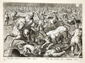 Hromadná korida v ohradě, ilustrace z 