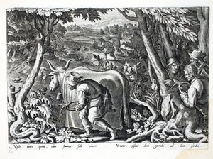 Lov na špačky a koroptve, ilustrace z 
