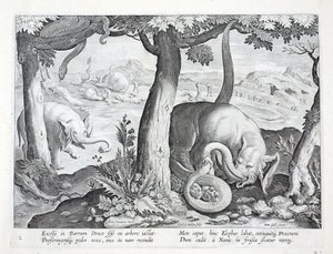 Had používaný při lovu slonů, ilustrace z 