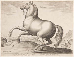 Francouzský kůň z prvního souboru "Equile Joannis Austriaci" od Jan van der Straet, called Stradanus