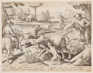 Buffalo Hunt, deska 27 v sérii Lov zvěře, ptáků a ryb od Jan van der Straet, called Stradanus