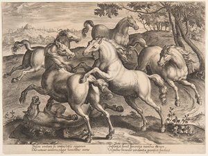 Bojoví koně, ze čtvrté sady "Equile Joannis Austriaci" od Jan van der Straet, called Stradanus