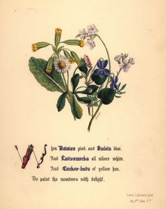 Sedmikrásky, fialky, babočky a kukačky od Jane Elizabeth Giraud