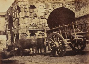 Buffalo Cart, Řím