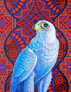 Sokol šedý, 2017, od Jane Tattersfield
