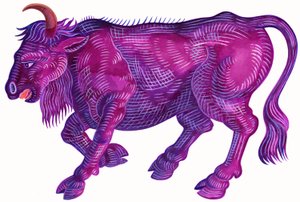 Zuřící býk Taurus, 1996, (tuš a kvaš) od Jane Tattersfield