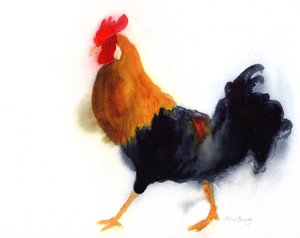 Kohout na Kauai v parku Lydgate, cca 2019 (akvarel na papíře)