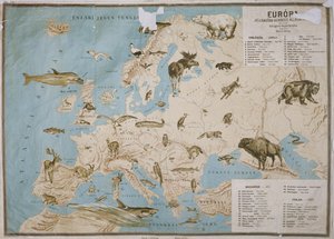 Mapa zvířat v Evropě, (barevná rytina)