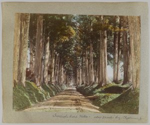 Imaichi Road, Nikko, Japonsko (ručně kolorovaná černobílá fotografie) od Japanese Photographer