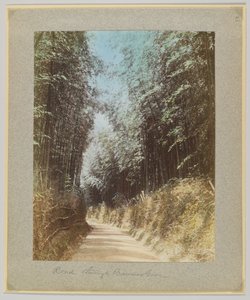 Cesta přes bambusový háj, Japonsko (ručně kolorovaná černobílá fotografie) od Japanese Photographer