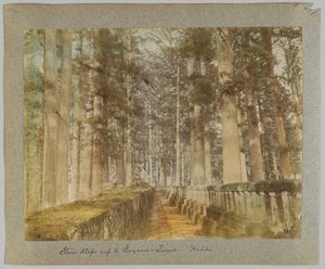 Kamenné kroky k Iejasuově hrobce, Nikko, Japonsko (ručně kolorovaná černobílá fotografie) od Japanese Photographer