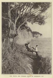 Bílé a zalesněné útesy Mississippi Bay od Japanese Photographer
