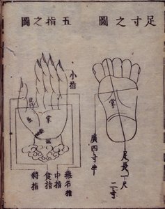 16029.b.5 fol.15v Diagram znázorňující akupunkturní body na rukou a nohou, z japonského komentáře k čínské práci o akupunktuře, Shisijing fahui z roku 1341 od Hua Shou, Kyoto od Japanese School