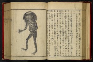 16084.d.15, f.24 A Neneko Kappa, z 
