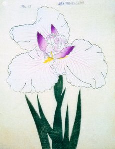 Mělký. Kasumi Arimura. 43, 1898 od Japanese School