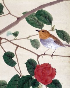 Pták a květiny. Japonská kresba Riou Chim, konec 19. století. od Japanese School