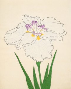 Cho-Hiyen, č. 91, 1890 (barevný dřevotisk) od Japanese School