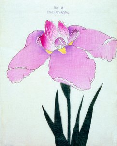Enuno. -Sora, z. 8, 1898