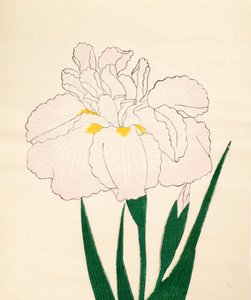 En-Yo-No-Ten, č. 73, 1890 (barevný dřevotisk) od Japanese School
