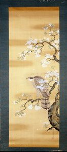 Sokol na větvi japonské třešně rozkvetl. Malba na hedvábí z 18. století Japonska. Janov. Museo Chiossone. od Japanese School