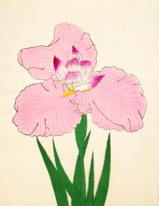Gaisen, No. 90, 1890 od Japanese School