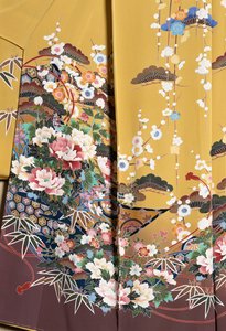 Kimono Furisode (vlnící rukávy), které nosí mladé neprovdané ženy při elegantních příležitostech a Maiko (učeň Gejša), Hladké hedvábí, květinové motivy, plovoucí stuhy, barvení Kaga-Yuzen, tkalcovny Tokamachi, japonská civilizace, 20. století od Japanese School
