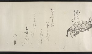 Nebo. 14872, f.29, želva, od Yoshida Seisai (handscroll) od Japanese School