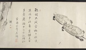 Nebo. 14872, f.36, Dvě želvy, od Yoshida Seisai (handscroll) od Japanese School